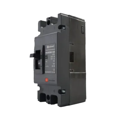 125A 2P DC Şalter - Solinved